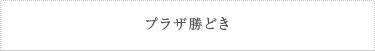 プラザ勝どき